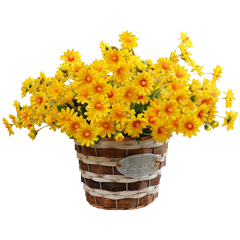 黄色小雏菊