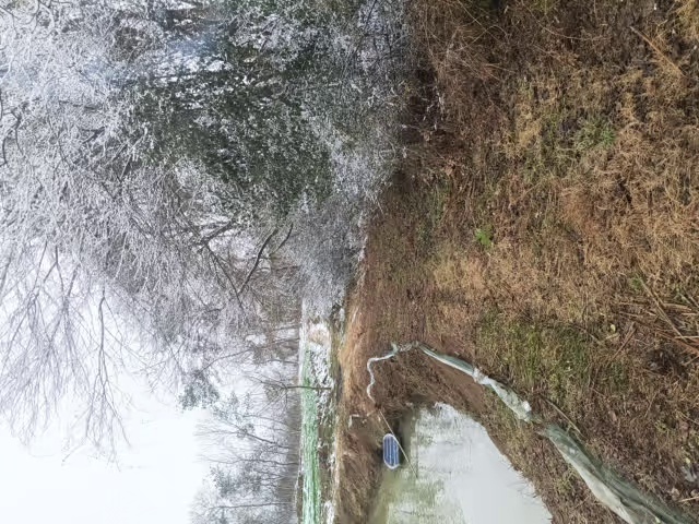 2025年阴历除夕岁